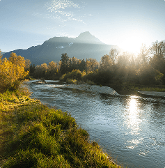 A river in the valley