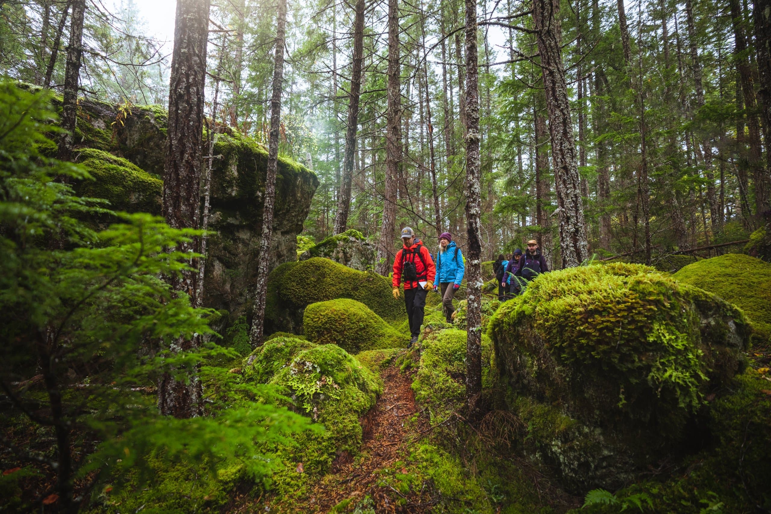 two people hiking in the woods