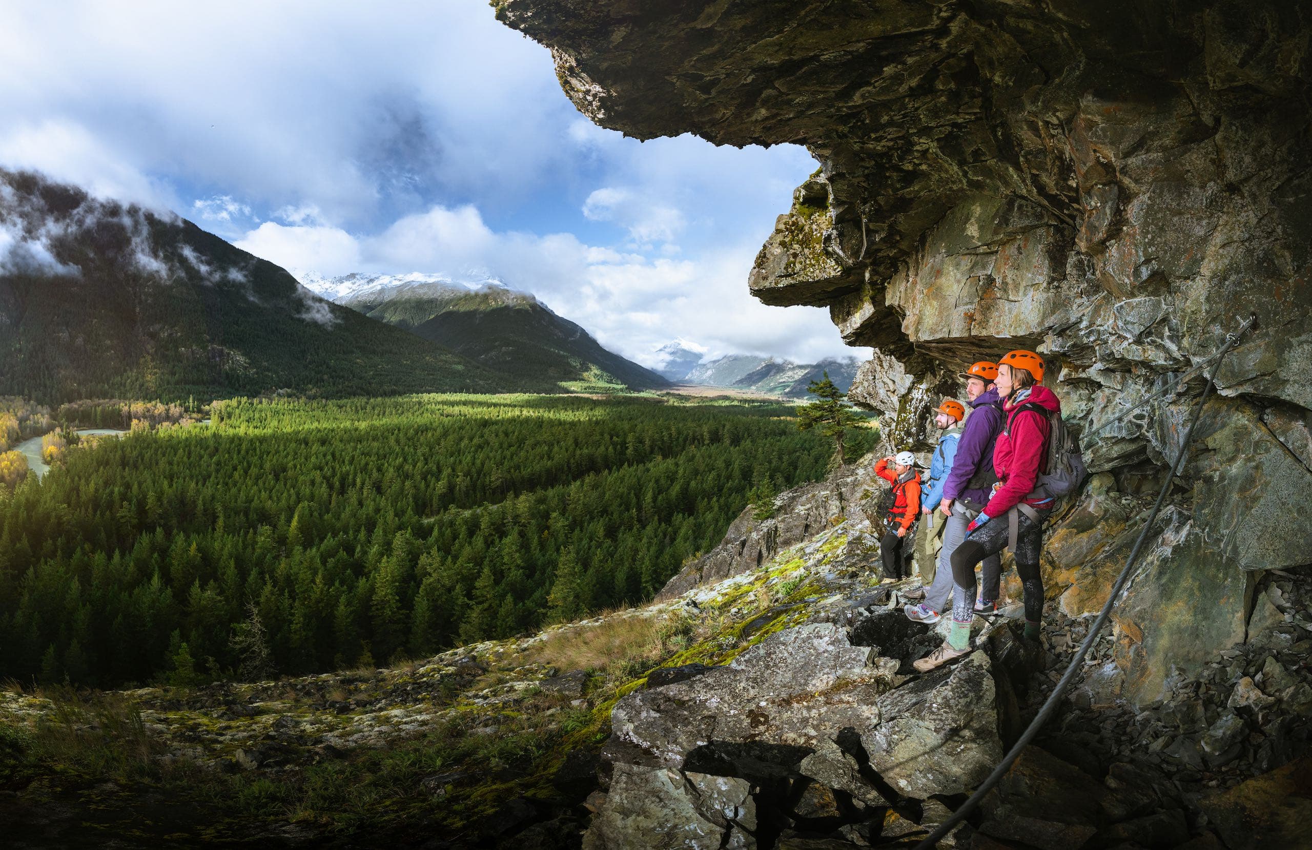 A group of climbers looking out over the forest