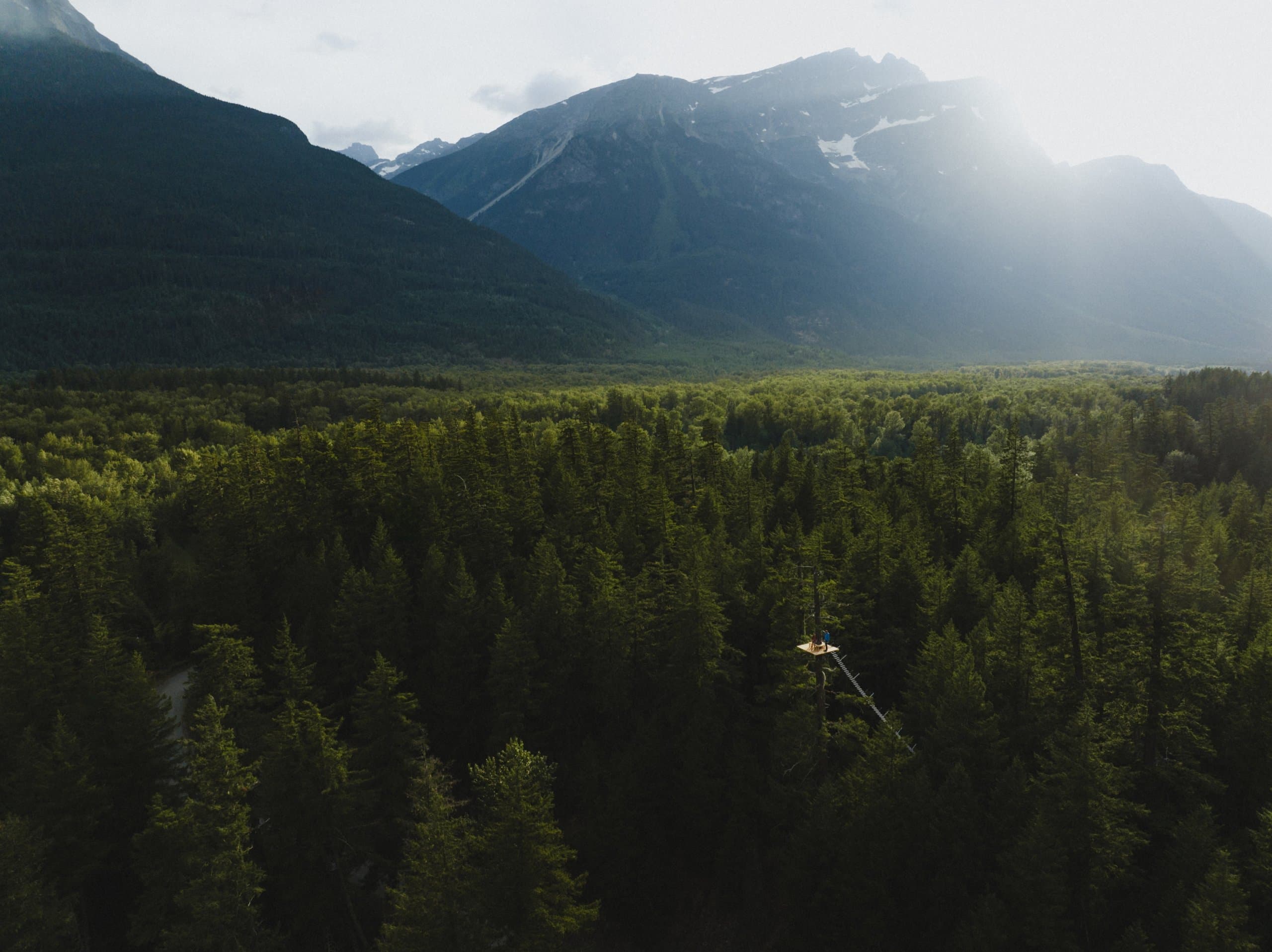 Aerial of a tree climbing course in the forest