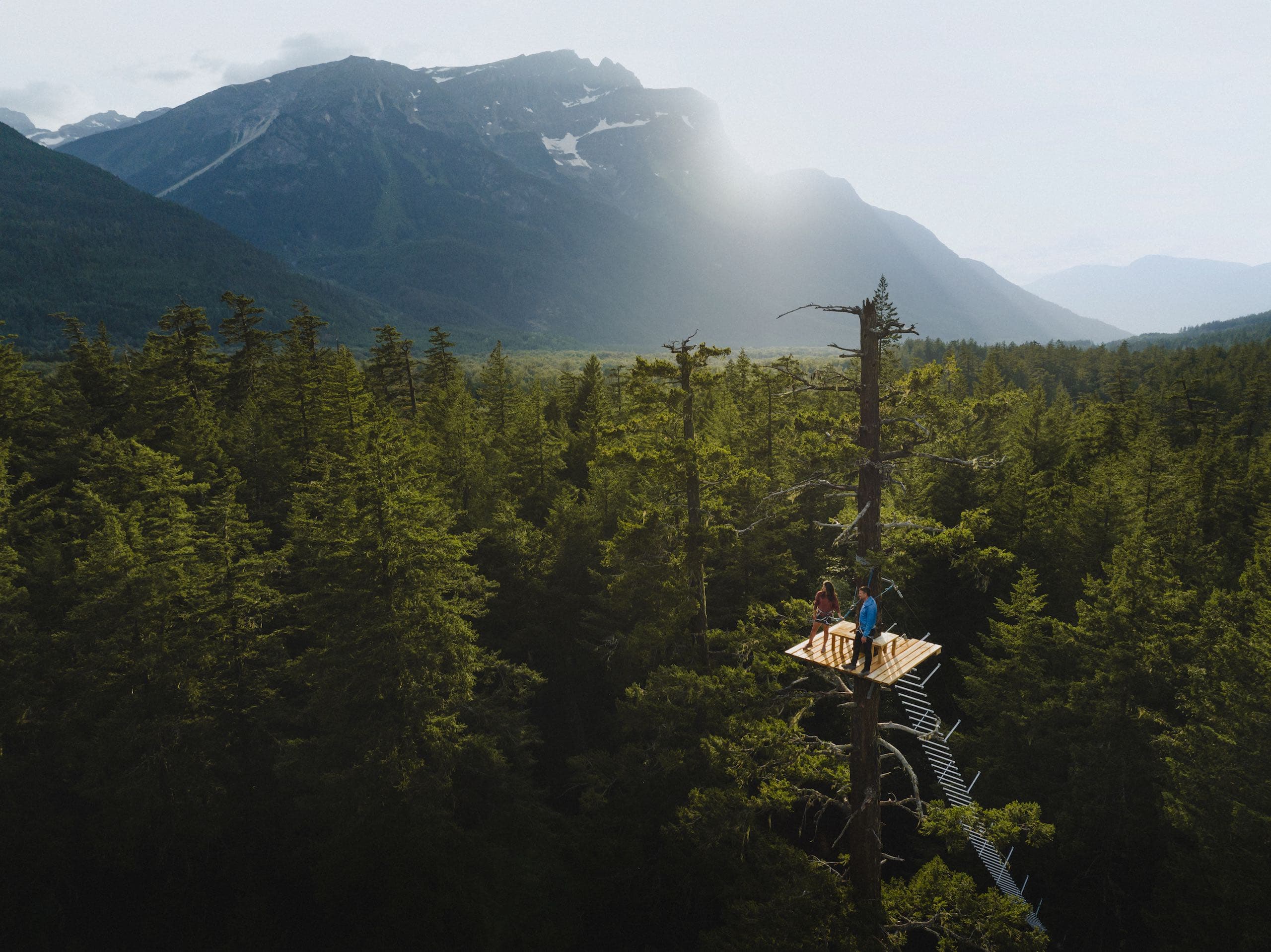 A couple climbing to a tree stand