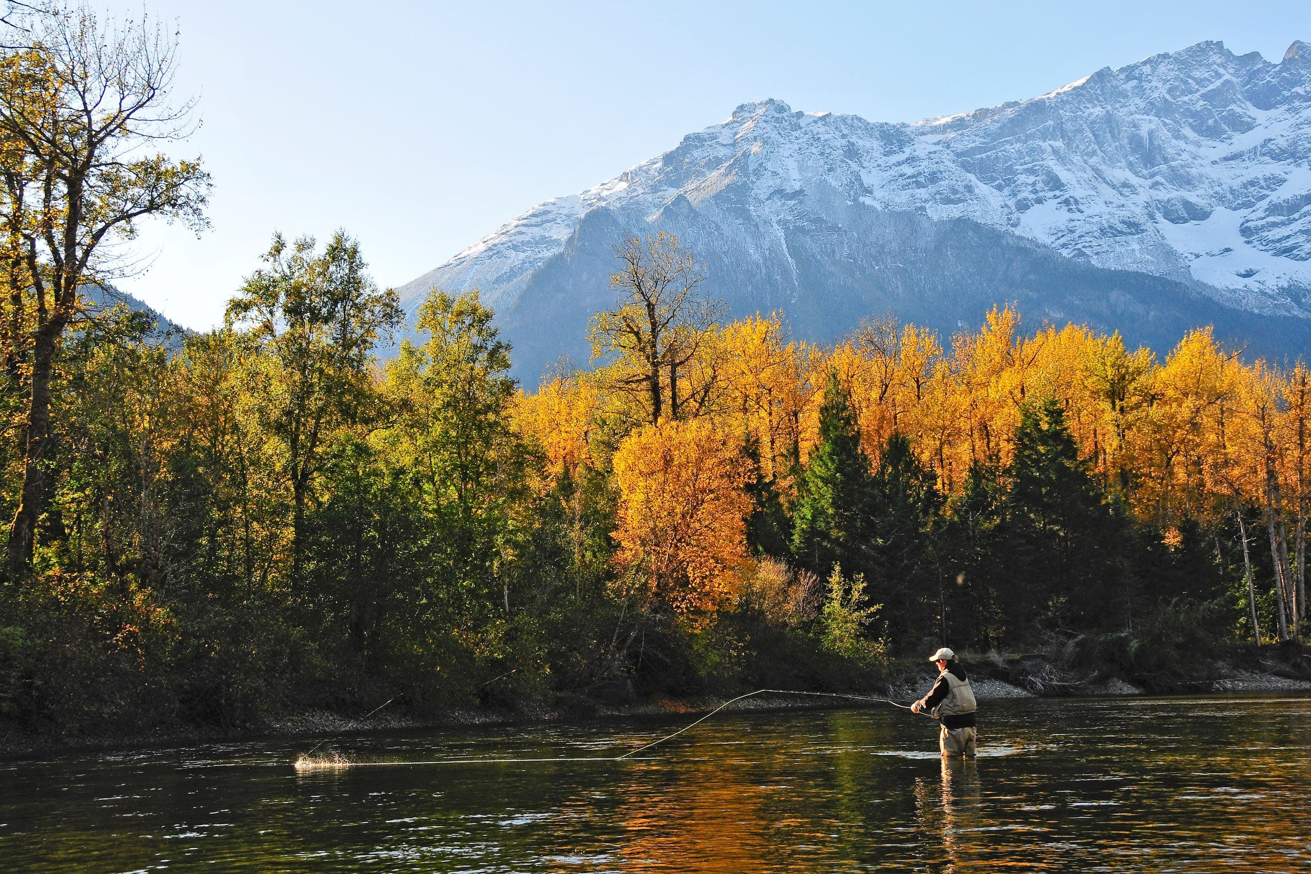 A man fly fishing in a river