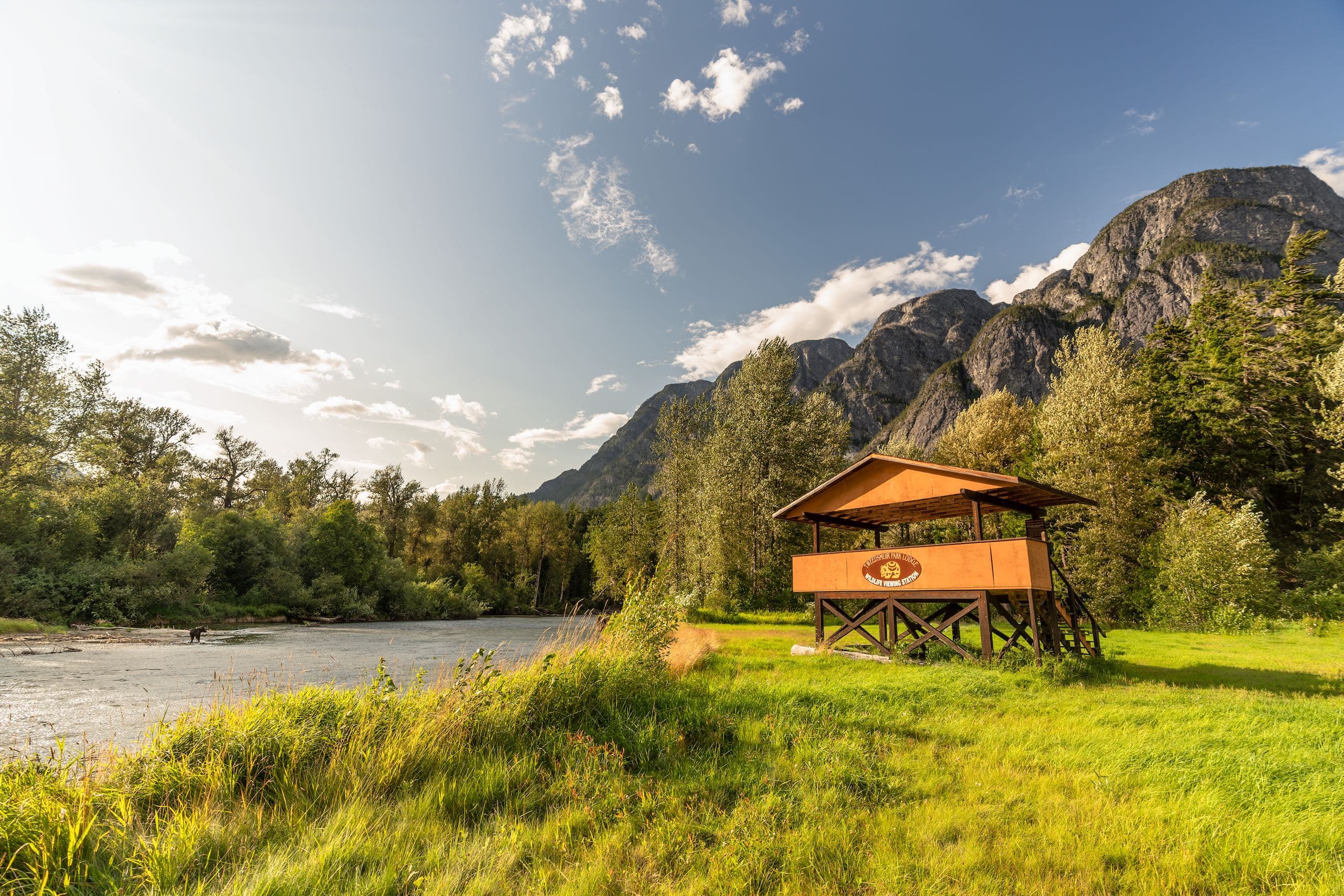 A forest stand by the river at Tweedsmuir Park Lodge