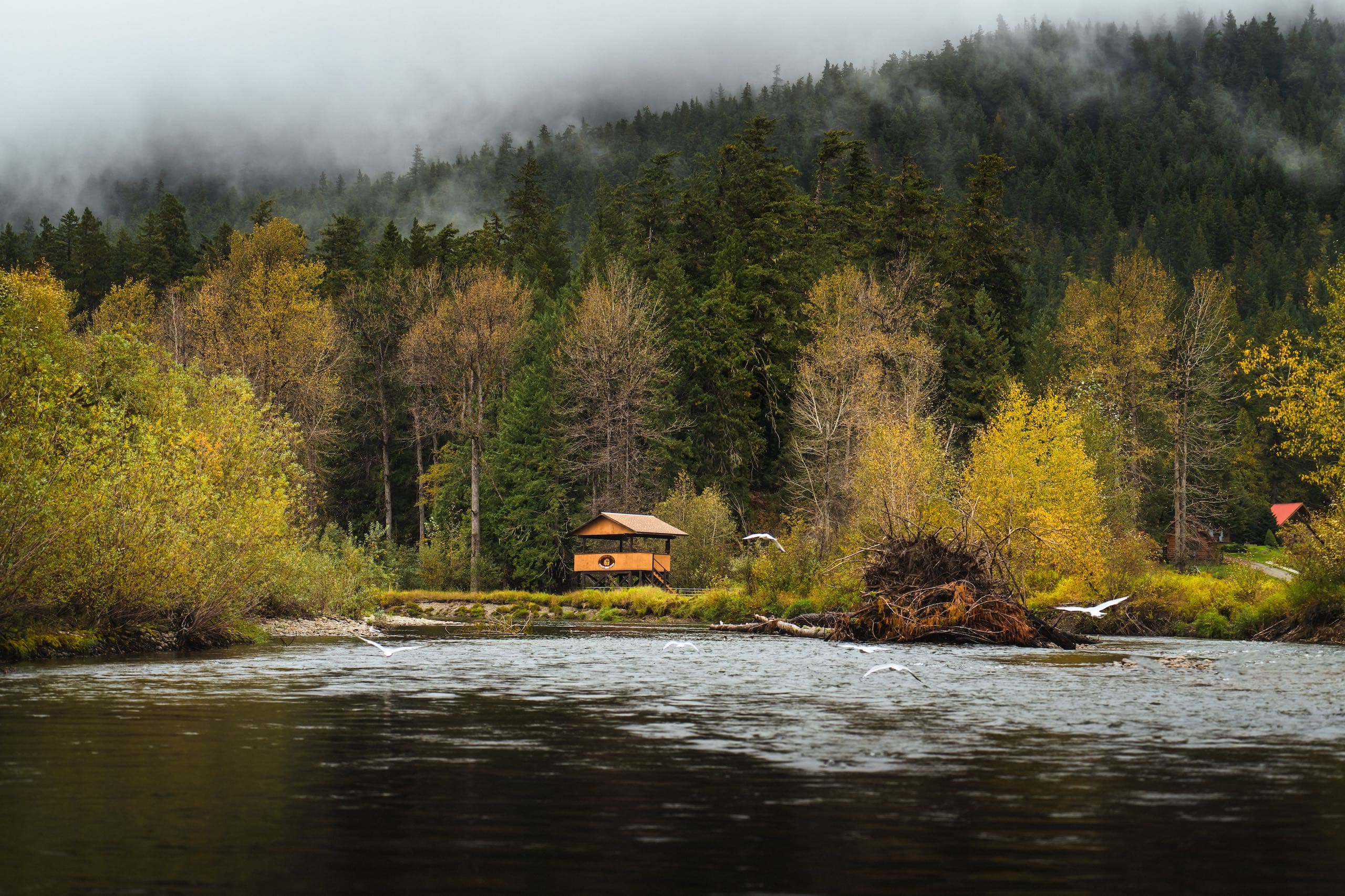 Viewing platform close to the river